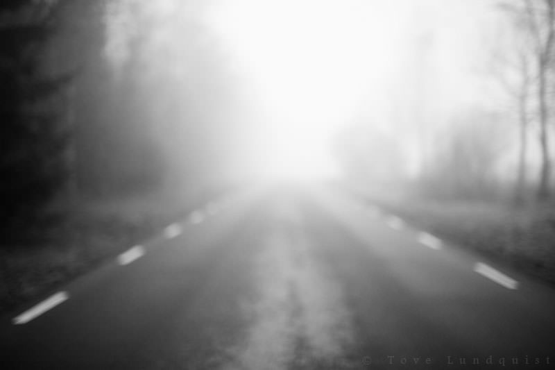 En dimmig väg i Sillaröd, Österlen. Foto: Tove Lundquist, fotograf på Österlen