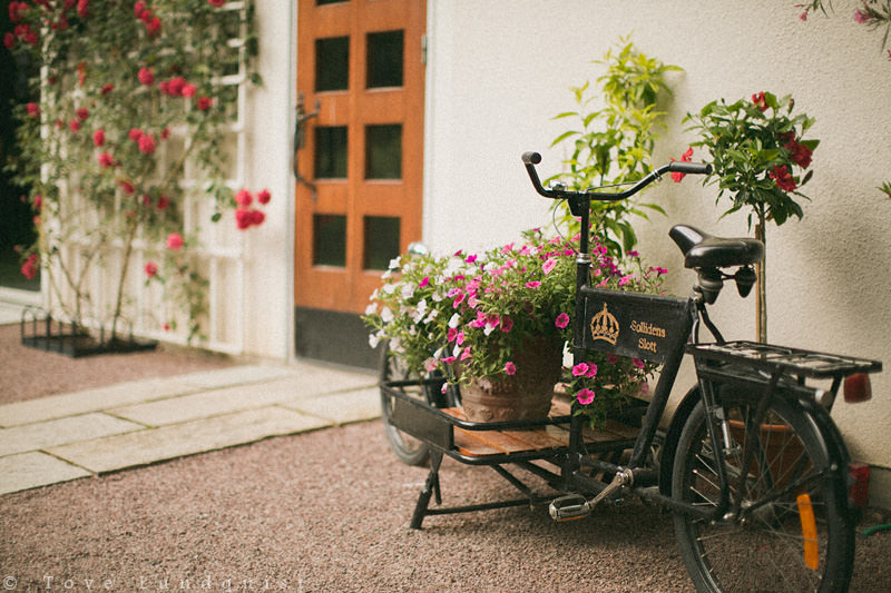 Cykel med blommor på Sollidens Slott, Öland. Bild: Tove Lundquist, bröllopsfotograf Oskarshamn (reportagestil).