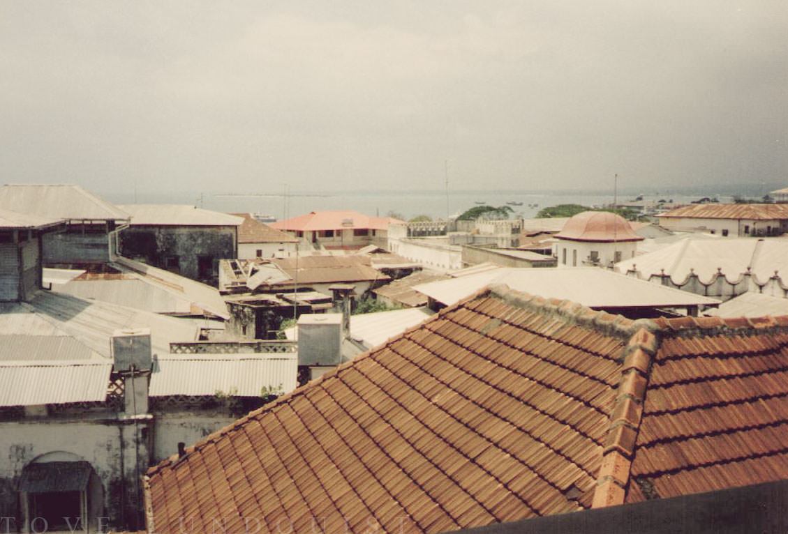 Vy från hustak i Stone Town, Zanzibar - Tanzania. Bilden togs 1997. Fotograf är Tove Lundquist.