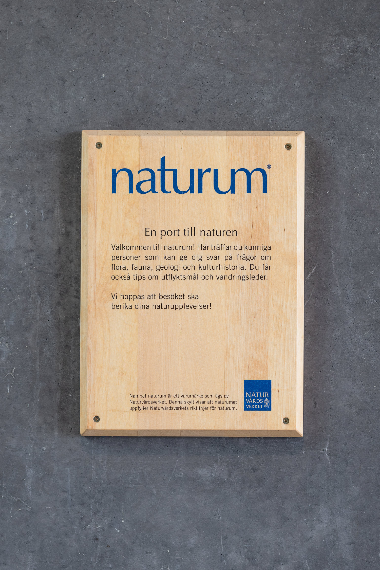 Ett tips är att åka till Naturum vid Funkis Ribban - där lär ni er massor! Foto: Tove Lundquist