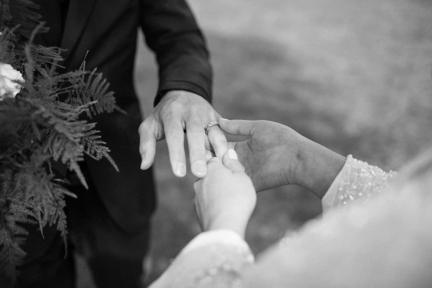 Foto på brudpar vid ett ringbyte under ett elopement bröllop i Haväng, Skåne. Bilder från vigseln vid den ensamma tallen. Fotograf: Tove Lundquist.