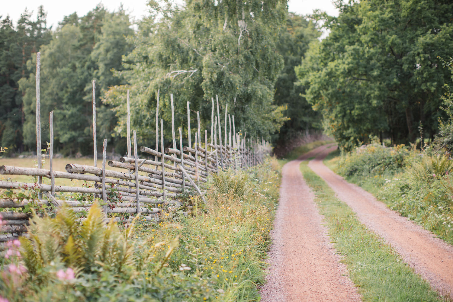Bild på grusväg ute vid Lövö, Oknö som ligger utanför Mönsterås.